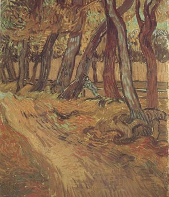 Vincent Van Gogh The Garden of Saint-Paul Hospital with Figure (nn04) Norge oil painting art